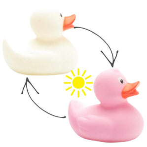 Quietscheente Magic Duck mit UV-Farbwechsel - weiss zu pink